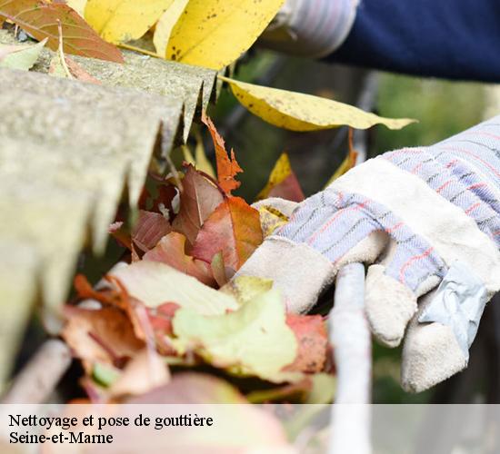 Nettoyage et pose de gouttière 77 Seine-et-Marne  AL couverture