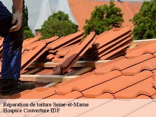 Réparation de toiture 77 Seine-et-Marne  Hospice Couverture IDF