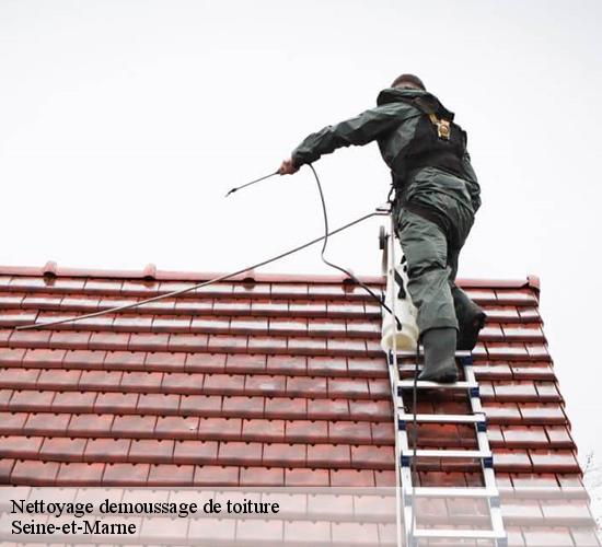 Nettoyage demoussage de toiture 77 Seine-et-Marne  AL couverture