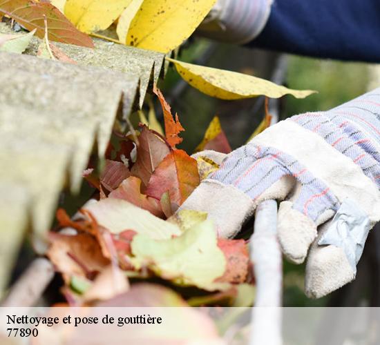 Nettoyage et pose de gouttière  arville-77890 AL couverture