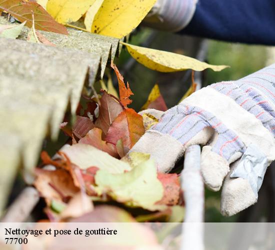 Nettoyage et pose de gouttière  bailly-romainvilliers-77700 AL couverture