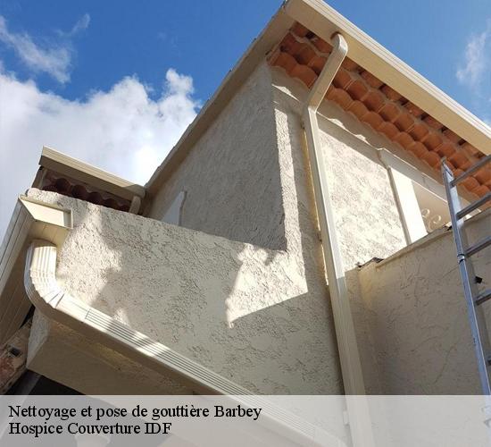 Nettoyage et pose de gouttière  barbey-77130 Hospice Couverture IDF