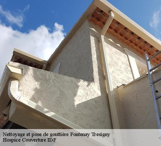 Nettoyage et pose de gouttière  fontenay-tresigny-77610 Hospice Couverture IDF