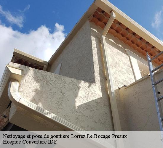 Nettoyage et pose de gouttière  lorrez-le-bocage-preaux-77710 Hospice Couverture IDF