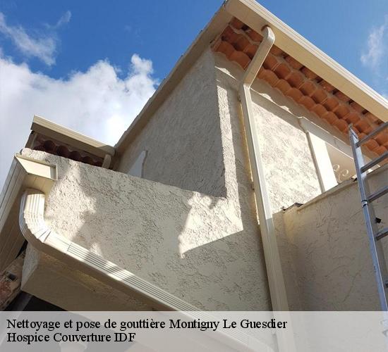 Nettoyage et pose de gouttière  montigny-le-guesdier-77480 Hospice Couverture IDF