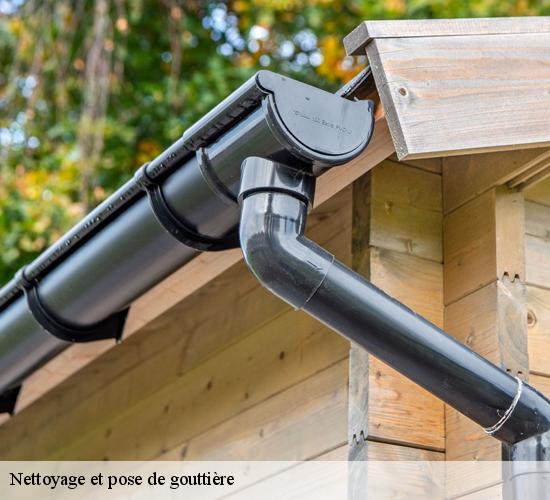 Nettoyage et pose de gouttière  sancy-les-provins-77320 AL couverture