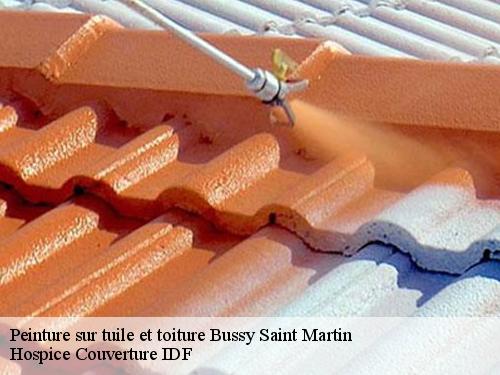 Peinture sur tuile et toiture  bussy-saint-martin-77600 Hospice Couverture IDF