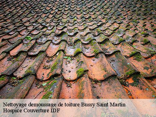 Nettoyage demoussage de toiture  bussy-saint-martin-77600 Hospice Couverture IDF