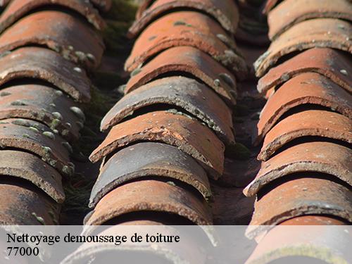 Nettoyage demoussage de toiture  livry-sur-seine-77000 Hospice Couverture IDF