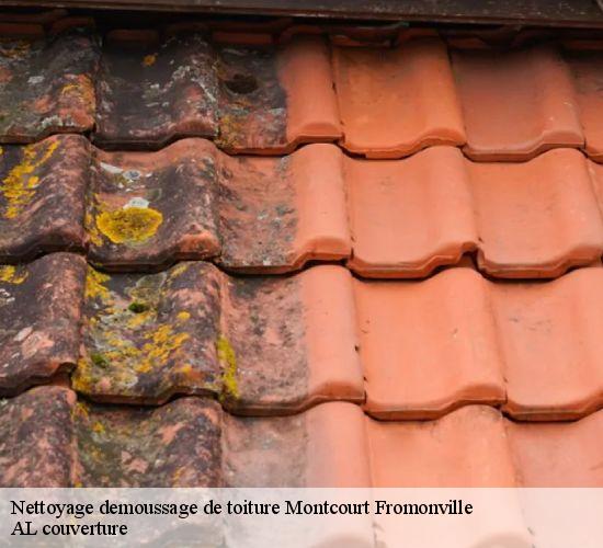 Nettoyage demoussage de toiture  montcourt-fromonville-77140 AL couverture