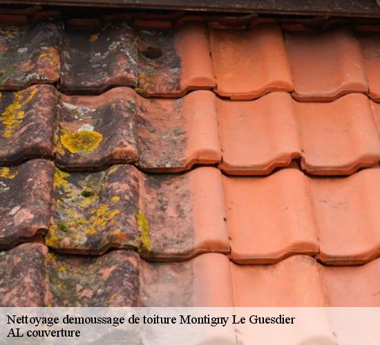 Nettoyage demoussage de toiture  montigny-le-guesdier-77480 AL couverture